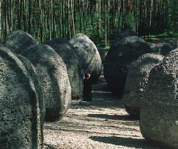 Magdalena Abakanowicz. Neatpažinto augimo erdvė