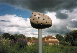 Ojārs Feldbergs. Mental Meteorite